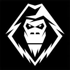 YETI SNOW MX - 22-26 FIT KITS